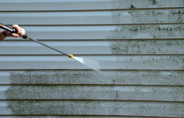 Professional Pressure Washing Services in Crozet, VA